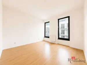 Prodej bytu 2+kk, Plzeň - Jižní Předměstí, Železná, 58 m2