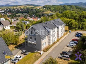 Prodej bytu 1+kk, Vizovice, 3. května, 26 m2