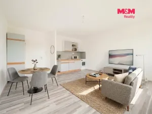 Prodej bytu 2+kk, Ústí nad Labem - Krásné Březno, Keplerova, 48 m2