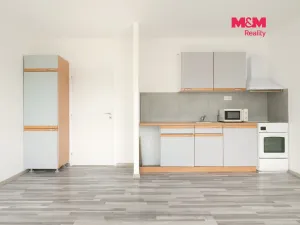 Prodej bytu 2+kk, Ústí nad Labem - Krásné Březno, Keplerova, 48 m2