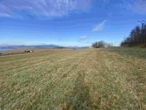 Dražba louky, Černá v Pošumaví, 2972 m2