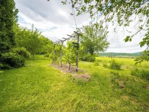 Pronájem zahrady, Brno, Terezy Novákové, 508 m2