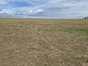 Prodej pozemku pro bydlení, Ježkovice, 4020 m2