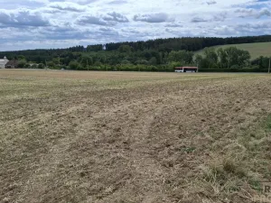Prodej pozemku pro bydlení, Ježkovice, 4020 m2
