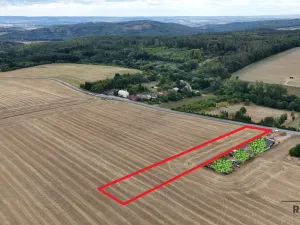 Prodej pozemku pro bydlení, Ježkovice, 4020 m2