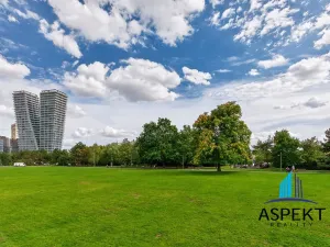 Pronájem bytu 1+kk, Praha - Podolí, Kaplická, 27 m2