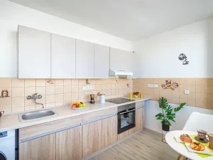 Pronájem bytu 2+1, Mladá Boleslav, Erbenova, 59 m2