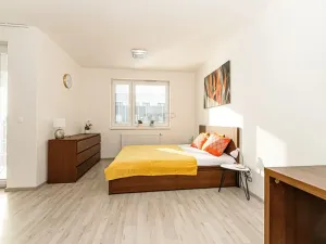 Pronájem bytu 1+kk, Praha - Vysočany, Strnadových, 33 m2