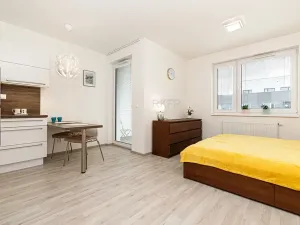 Pronájem bytu 1+kk, Praha - Vysočany, Strnadových, 33 m2