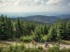 Prodej bytu 1+kk, Loučná pod Klínovcem, 37 m2