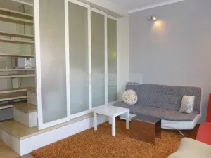 Pronájem bytu 1+1, Plzeň - Východní Předměstí, Suvorovova, 57 m2