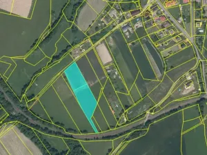 Prodej pozemku pro bydlení, Běšiny, 4921 m2