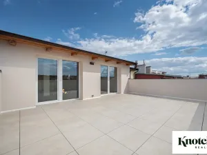 Pronájem bytu 6+kk a větší, Brno, Štefánikova, 400 m2