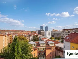 Pronájem bytu 6+kk a větší, Brno, Štefánikova, 400 m2