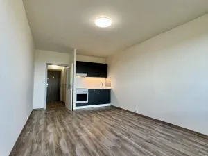 Pronájem bytu 1+kk, Ostrava, Čujkovova, 28 m2