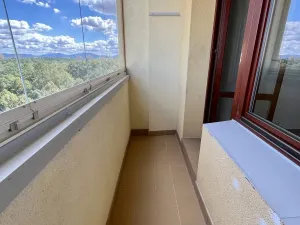 Pronájem bytu 1+kk, Ostrava, Čujkovova, 28 m2