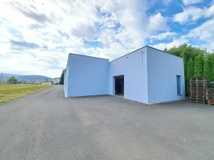 Pronájem obchodního prostoru, Tečovice, 890 m2