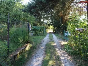 Prodej chaty, Svinaře, V Zátiší, 150 m2