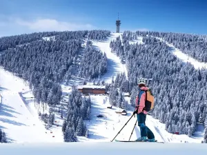 Prodej bytu 1+kk, Loučná pod Klínovcem, 33 m2