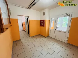 Prodej bytu 2+1, Kladno, Vitry, 54 m2