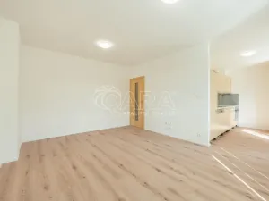 Pronájem bytu 2+1, Praha - Hloubětín, Zelenečská, 53 m2