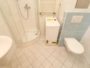 Pronájem bytu 1+kk, Praha - Holešovice, U měšťanského pivovaru, 42 m2