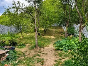 Prodej rodinného domu, Pitín, 110 m2