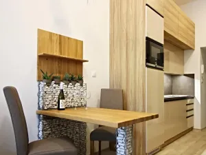 Pronájem bytu 1+kk, Brno, Koliště, 23 m2