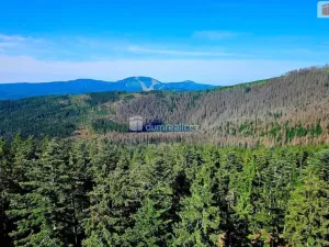 Prodej rodinného domu, Železná Ruda - Špičák, 300 m2
