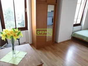 Pronájem bytu 1+kk, Brno - Staré Brno, Křížkovského, 26 m2
