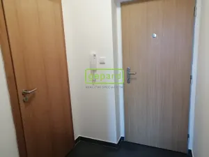 Pronájem bytu 1+kk, Brno - Staré Brno, Křížkovského, 26 m2