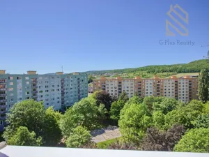 Prodej bytu 2+1, Chomutov, Holešická, 62 m2