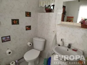 Prodej rodinného domu, Hlavečník, 170 m2