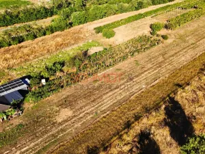 Prodej pozemku pro bydlení, Lanžhot, Školní, 491 m2