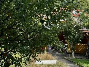 Prodej rodinného domu, Zlín - Malenovice, Brigádnická, 195 m2