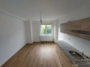 Pronájem bytu 2+kk, Praha - Žižkov, 45 m2