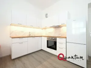 Pronájem bytu 2+kk, Praha - Vinohrady, Vinohradská, 45 m2