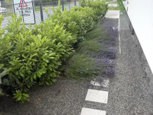 Pronájem bytu 2+kk, Nové Město na Moravě, Soškova, 54 m2