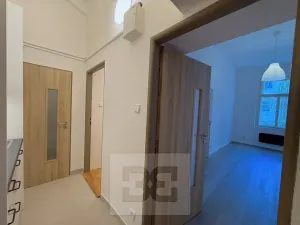 Pronájem bytu 2+1, Praha - Žižkov, Hartigova, 38 m2