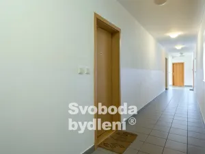 Pronájem bytu 2+kk, Praha - Suchdol, Internacionální, 62 m2