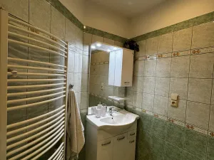 Pronájem bytu 4+kk, Opava, Sadová, 110 m2