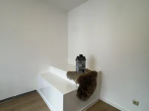 Pronájem bytu 4+kk, Opava, Sadová, 110 m2