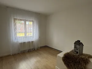 Pronájem bytu 4+kk, Opava, Sadová, 110 m2