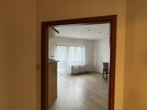 Pronájem bytu 4+kk, Opava, Sadová, 110 m2