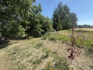 Prodej rodinného domu, Mladý Smolivec - Radošice, 200 m2