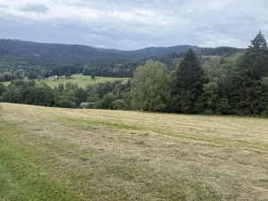 Prodej louky, Hamry, 84928 m2