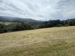 Prodej louky, Hamry, 84928 m2