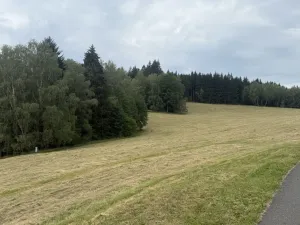 Prodej louky, Hamry, 84928 m2