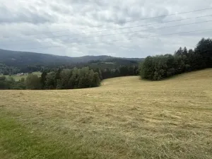 Prodej louky, Hamry, 84928 m2