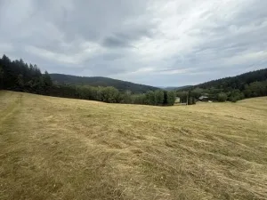 Prodej louky, Hamry, 84928 m2